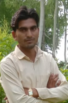 Arif saifi